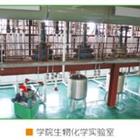 可先确认当前栏目名称