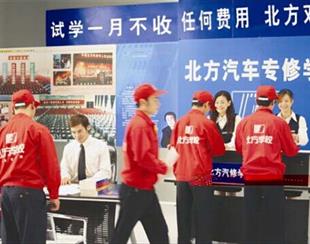 可按栏目接着查阅相关条目